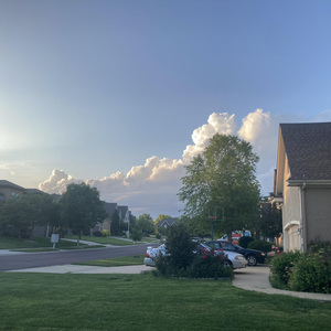 黄视频在线观看免费视频
